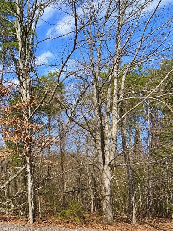 Unimproved Land at Lt 11 lynn smith Road, Semora NC 27343, Semora, photo 3 of 5