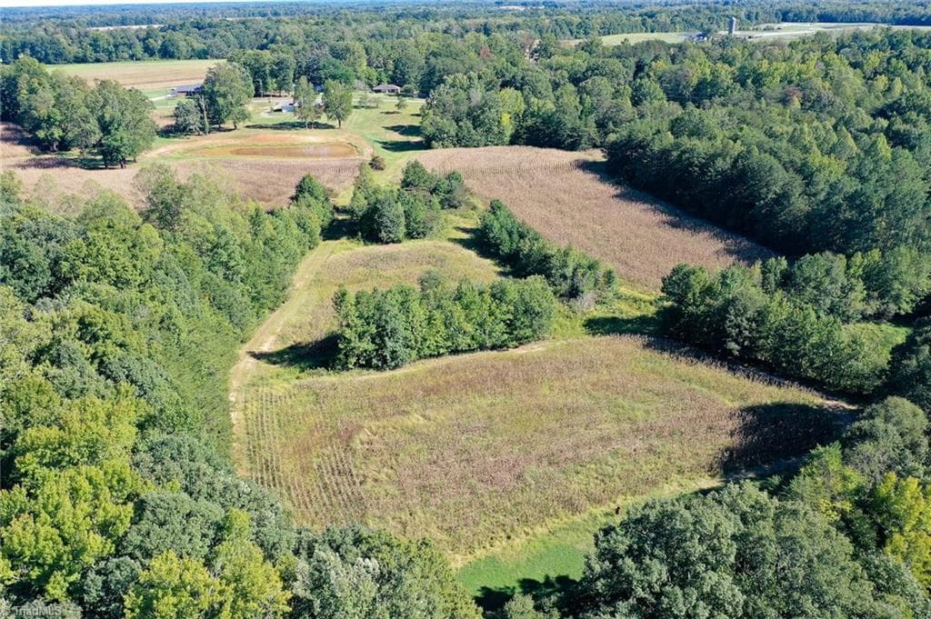 Agriculture at 5891 Turner Smith Road, Browns Summit NC 27214, Browns Summit, photo 6 of 38