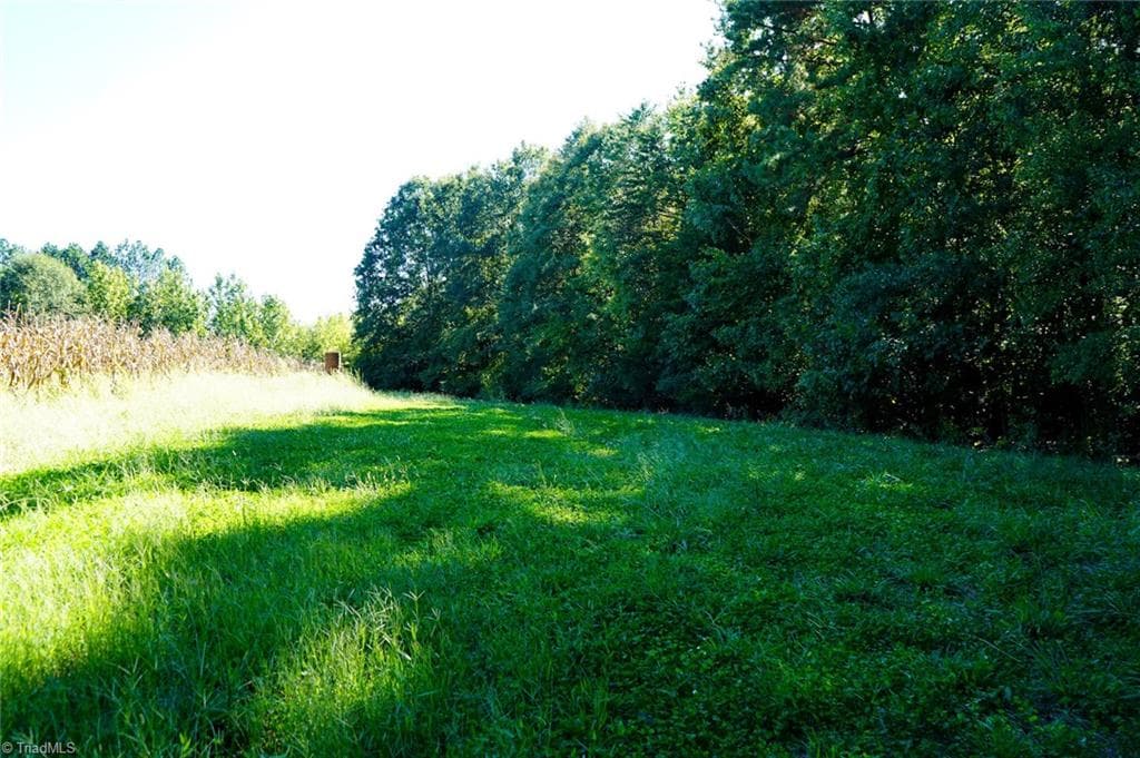 Agriculture at 5891 Turner Smith Road, Browns Summit NC 27214, Browns Summit, photo 13 of 38