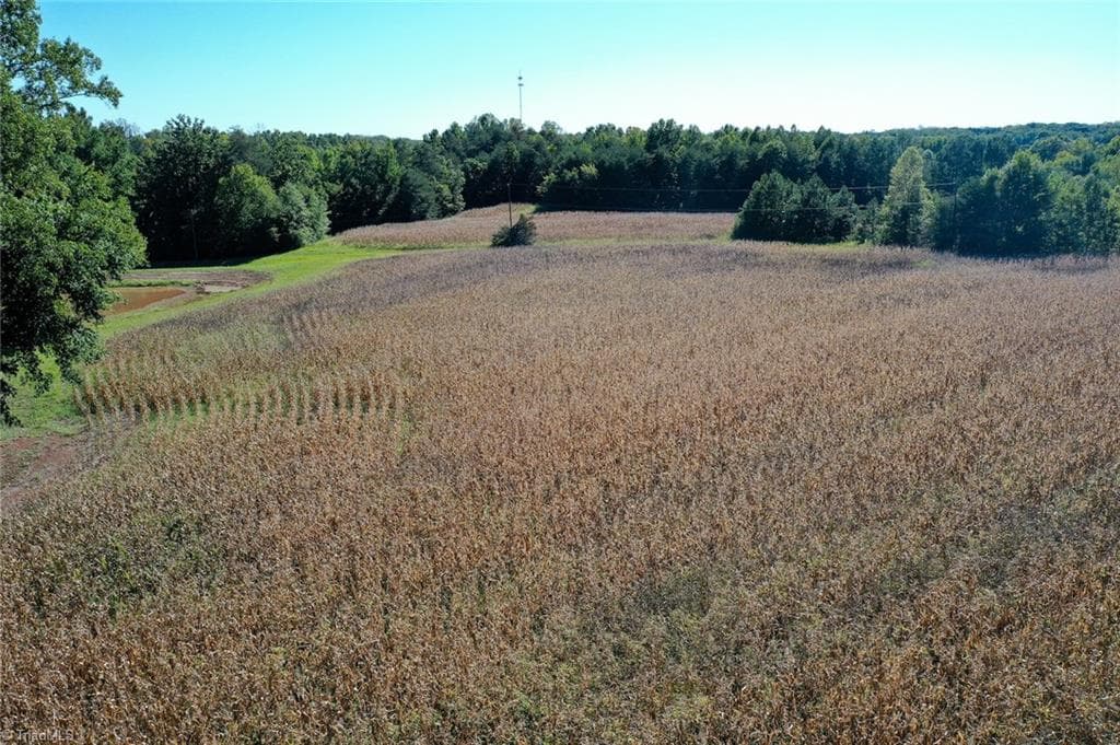 Agriculture at 5891 Turner Smith Road, Browns Summit NC 27214, Browns Summit, photo 17 of 38