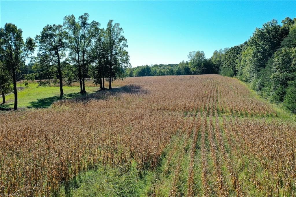 Agriculture at 5891 Turner Smith Road, Browns Summit NC 27214, Browns Summit, photo 16 of 38