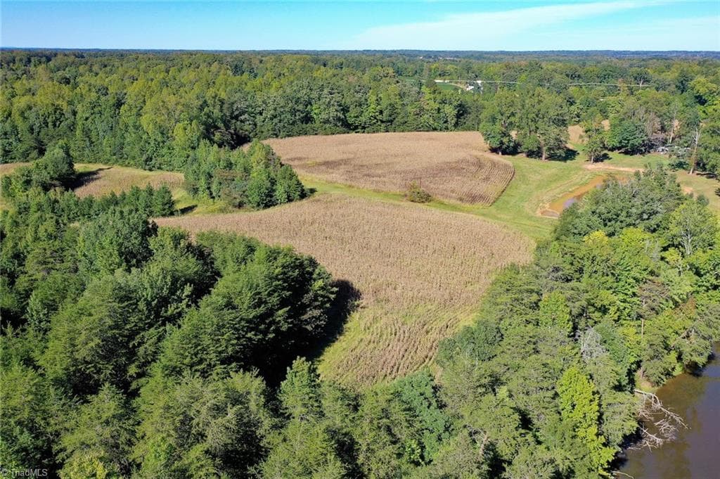 Agriculture at 5891 Turner Smith Road, Browns Summit NC 27214, Browns Summit, photo 3 of 38