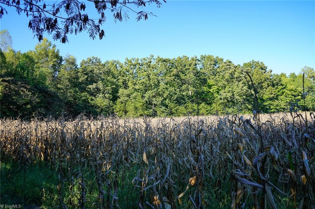 Agriculture at 5891 Turner Smith Road, Browns Summit NC 27214, Browns Summit, photo 9 of 38