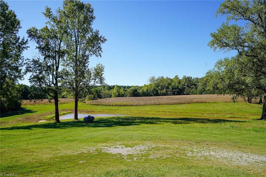 Agriculture at 5891 Turner Smith Road, Browns Summit NC 27214, Browns Summit, photo 14 of 38