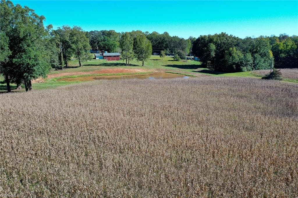 Agriculture at 5891 Turner Smith Road, Browns Summit NC 27214, Browns Summit, photo 15 of 38