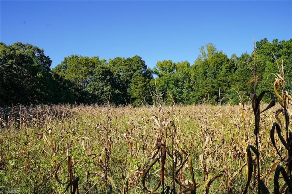 Agriculture at 5891 Turner Smith Road, Browns Summit NC 27214, Browns Summit, photo 11 of 38