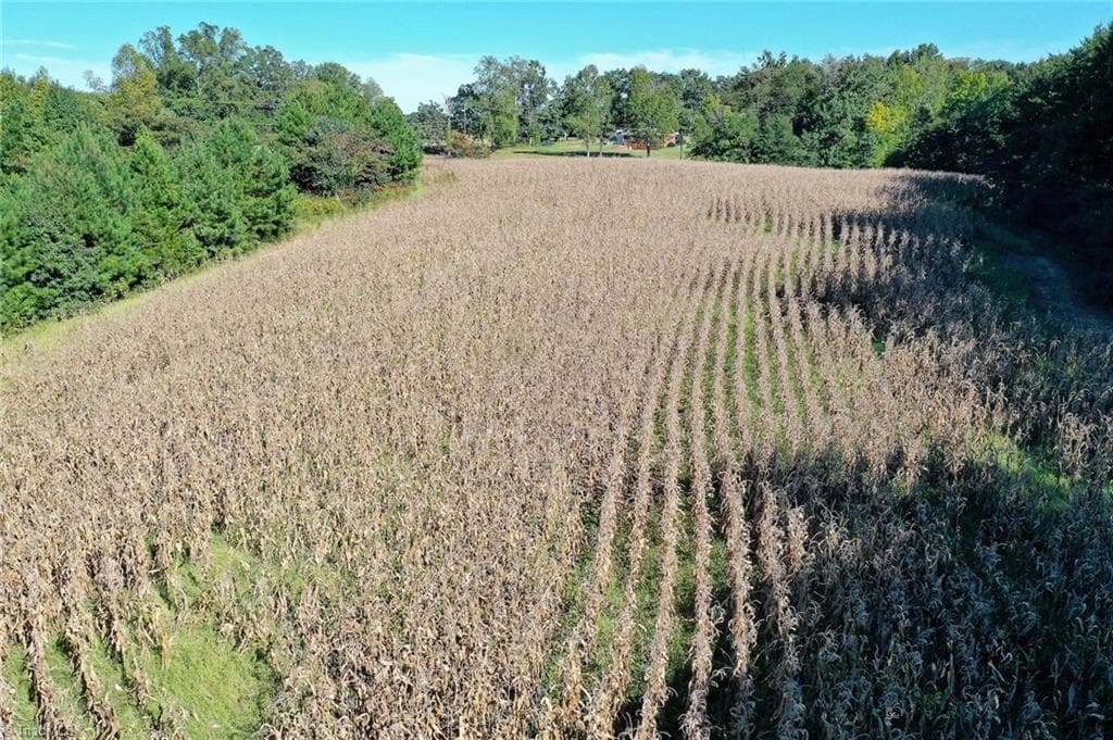 Agriculture at 5891 Turner Smith Road, Browns Summit NC 27214, Browns Summit, photo 19 of 38