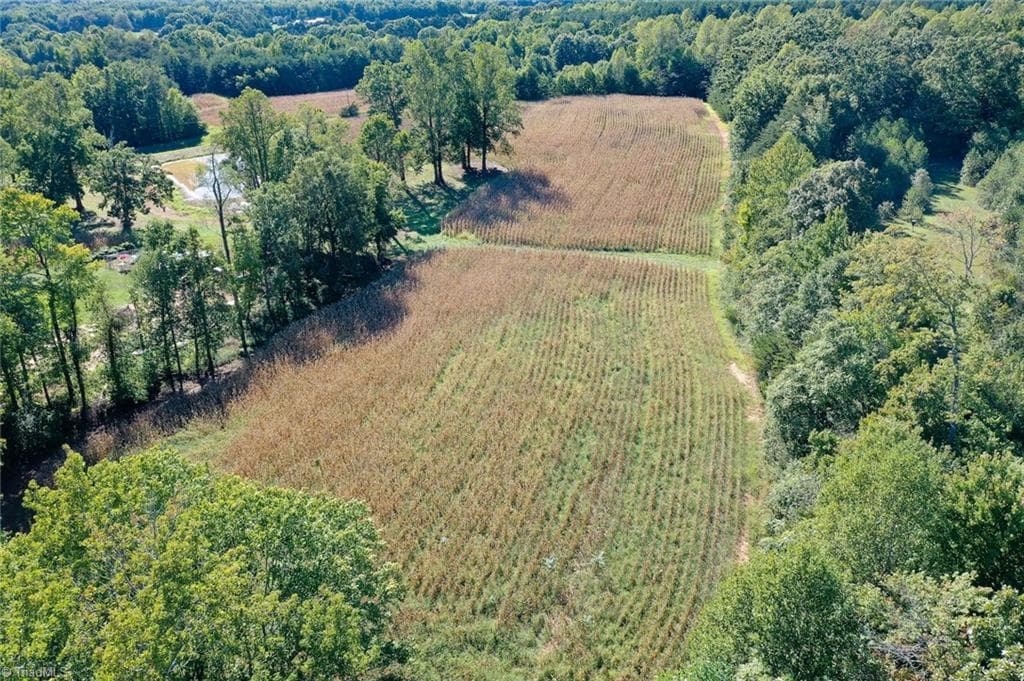Agriculture at 5891 Turner Smith Road, Browns Summit NC 27214, Browns Summit, photo 8 of 38