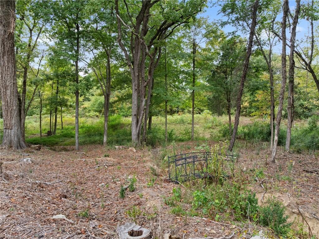 Stick/Site Built at 316 W 2nd Street, Denton NC 27239, Denton, photo 26 of 34