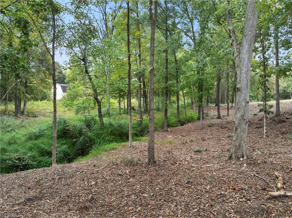 Stick/Site Built at 316 W 2nd Street, Denton NC 27239, Denton, photo 28 of 34