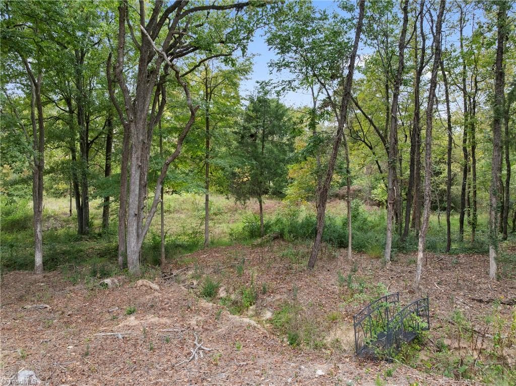 Stick/Site Built at 316 W 2nd Street, Denton NC 27239, Denton, photo 30 of 34