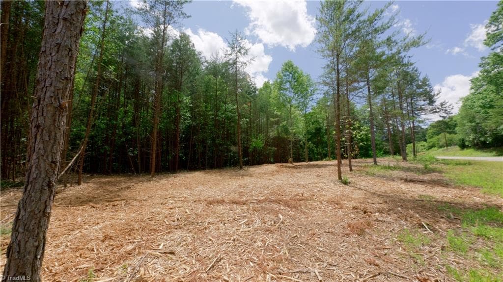 Single Family Residence at 1734 Shiloh Church Road, Rural Hall NC 27045, Rural Hall, photo 6 of 27