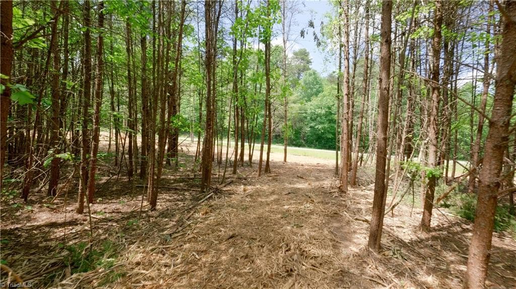Single Family Residence at 1734 Shiloh Church Road, Rural Hall NC 27045, Rural Hall, photo 8 of 27