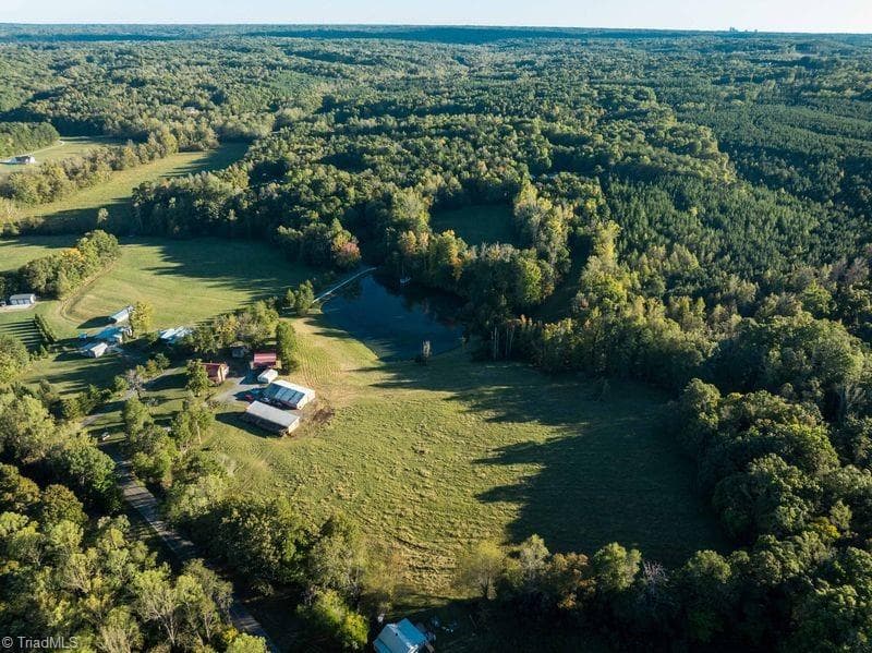 Agriculture at 8700 Fieldcreek Farms Road, Germanton NC 27019, Germanton, photo 27 of 31