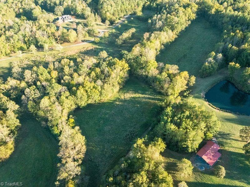 Agriculture at 8700 Fieldcreek Farms Road, Germanton NC 27019, Germanton, photo 26 of 31