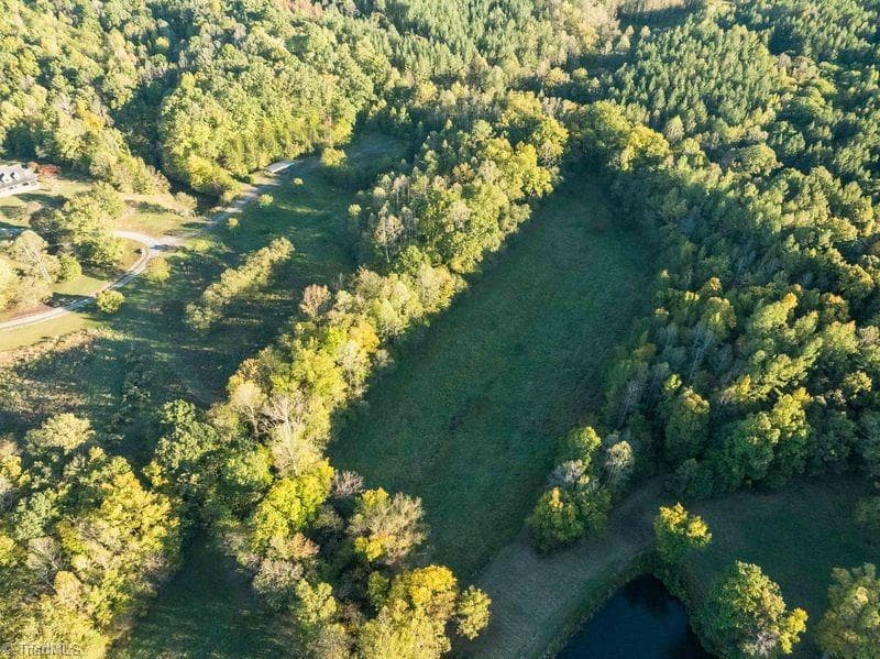 Agriculture at 8700 Fieldcreek Farms Road, Germanton NC 27019, Germanton, photo 30 of 31