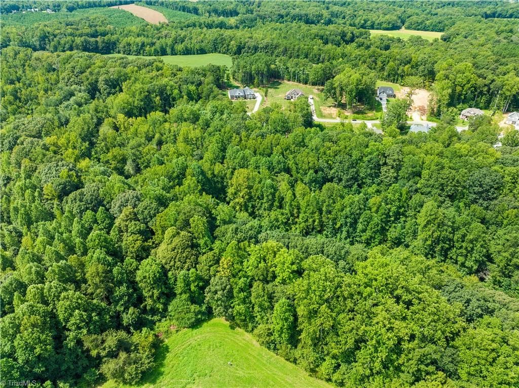 Unimproved Land at 1099 Kapstone Crossing, Lexington NC 27295, Lexington, photo 11 of 17