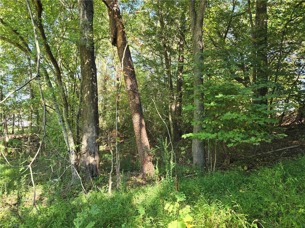 Single Family Residence at 0 Cemetery Street, East Bend NC 27018, photo 12 of 21