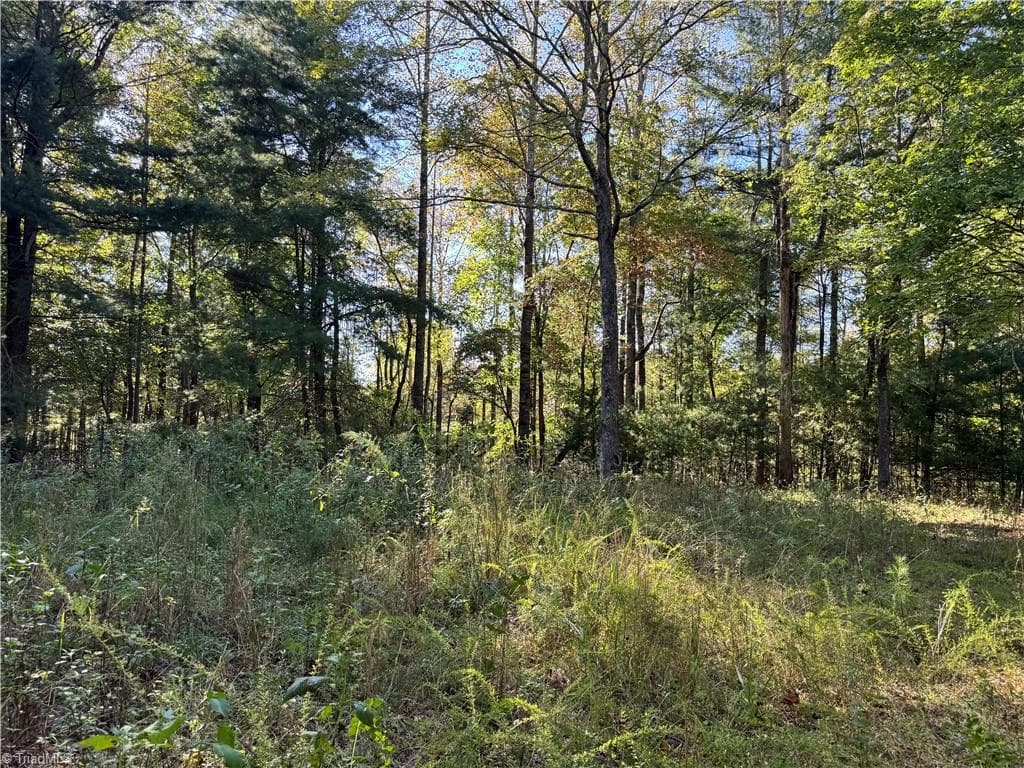 Single Family Residence at 00 One Mile Road, Traphill NC 28635, Traphill, photo 23 of 24