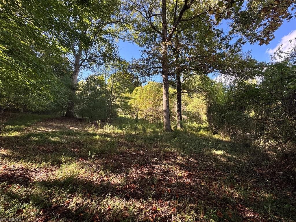 Single Family Residence at 00 One Mile Road, Traphill NC 28635, Traphill, photo 5 of 24