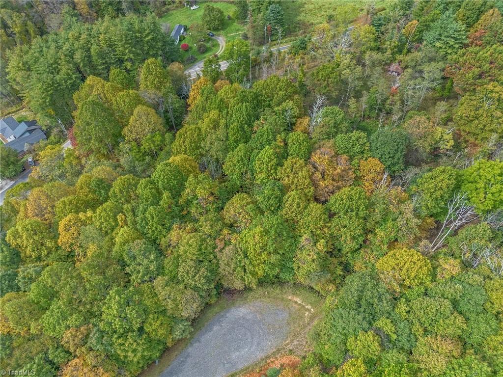 Unimproved Land at Lot 1 Red Sleigh Way, Fleetwood NC 28626, Fleetwood, photo 6 of 14