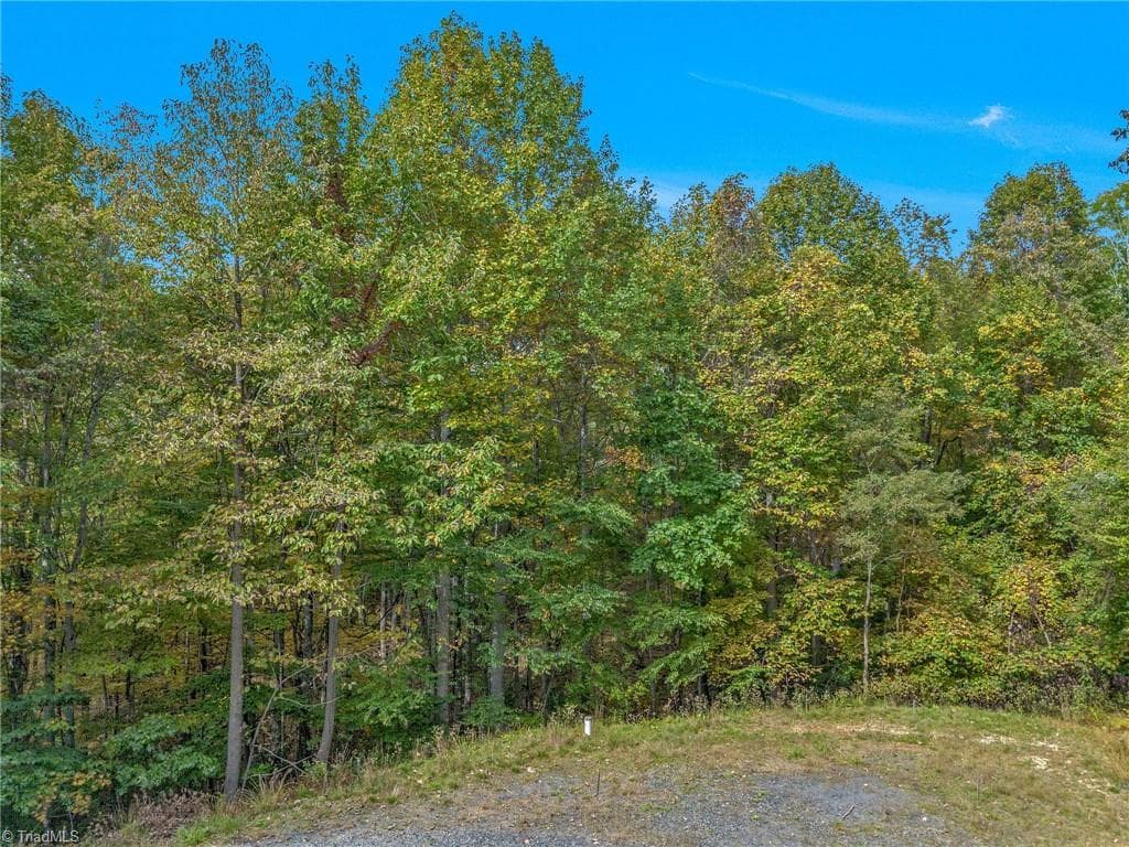 Unimproved Land at Lot 1 Red Sleigh Way, Fleetwood NC 28626, Fleetwood, photo 13 of 14