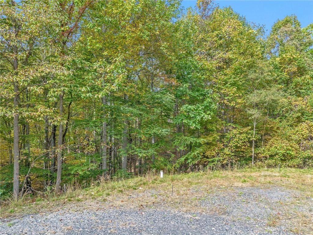 Unimproved Land at Lot 1 Red Sleigh Way, Fleetwood NC 28626, Fleetwood, photo 12 of 14