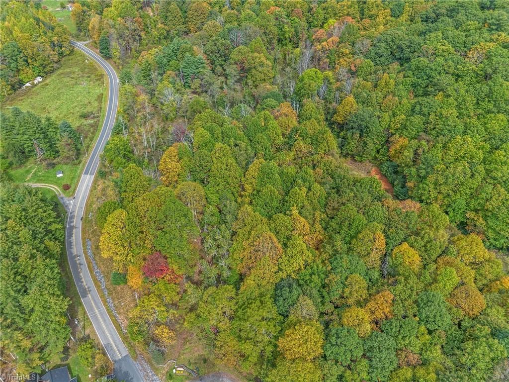Unimproved Land at Lot 1 Red Sleigh Way, Fleetwood NC 28626, Fleetwood, photo 7 of 14