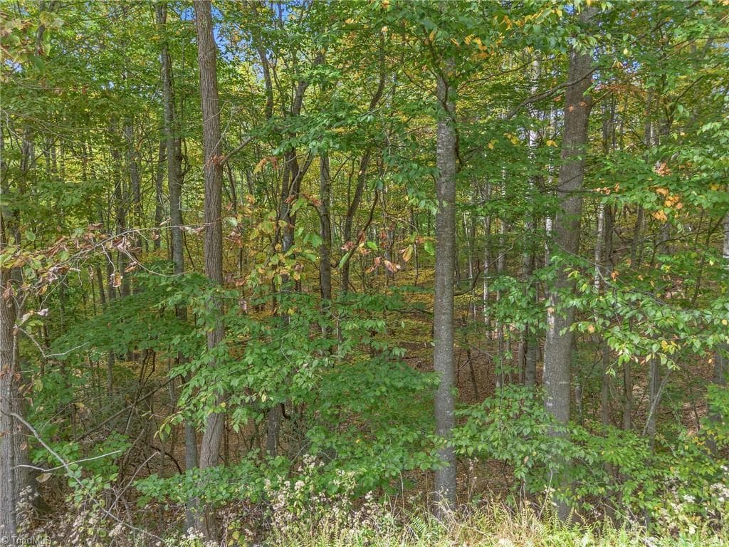 Unimproved Land at Lot 1 Red Sleigh Way, Fleetwood NC 28626, Fleetwood, photo 3 of 14