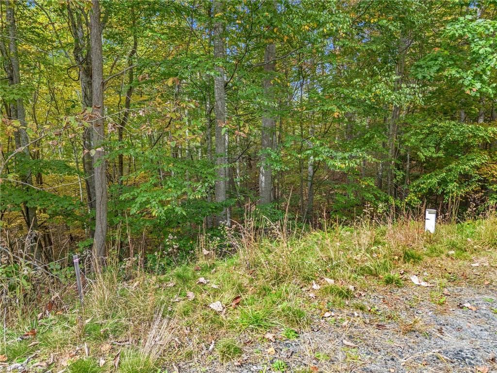 Unimproved Land at Lot 1 Red Sleigh Way, Fleetwood NC 28626, Fleetwood, photo 5 of 14