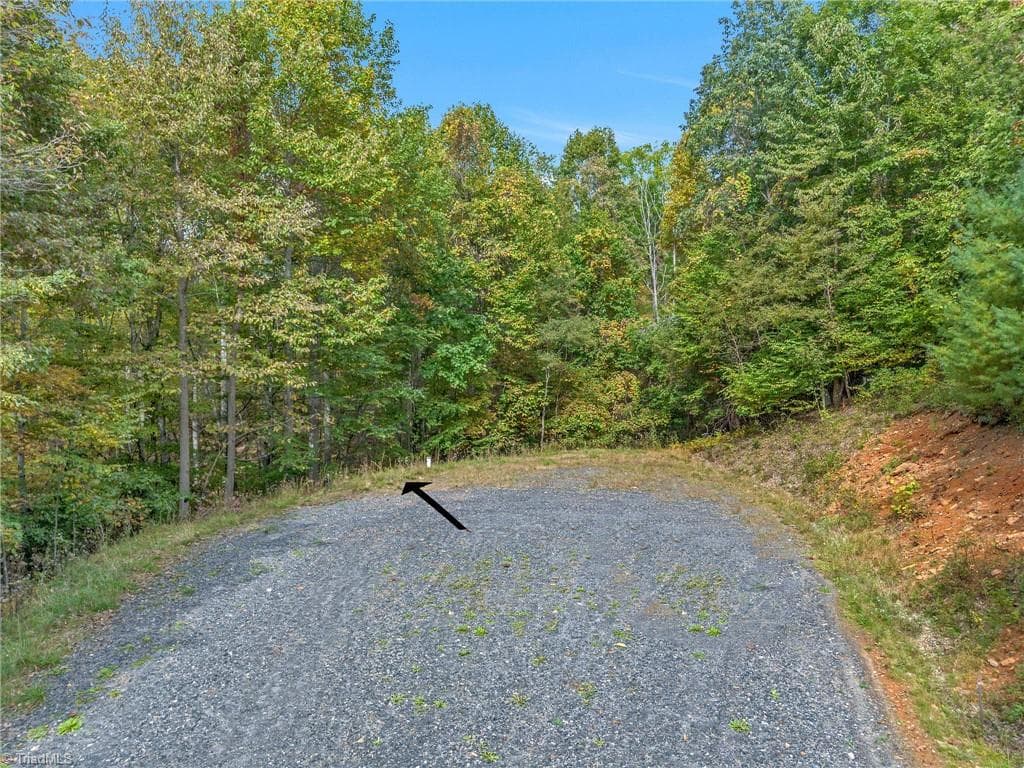Unimproved Land at Lot 1 Red Sleigh Way, Fleetwood NC 28626, Fleetwood, photo 9 of 14