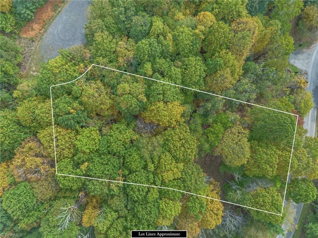 Unimproved Land at Lot 1 Red Sleigh Way, Fleetwood NC 28626, Fleetwood, photo 10 of 14
