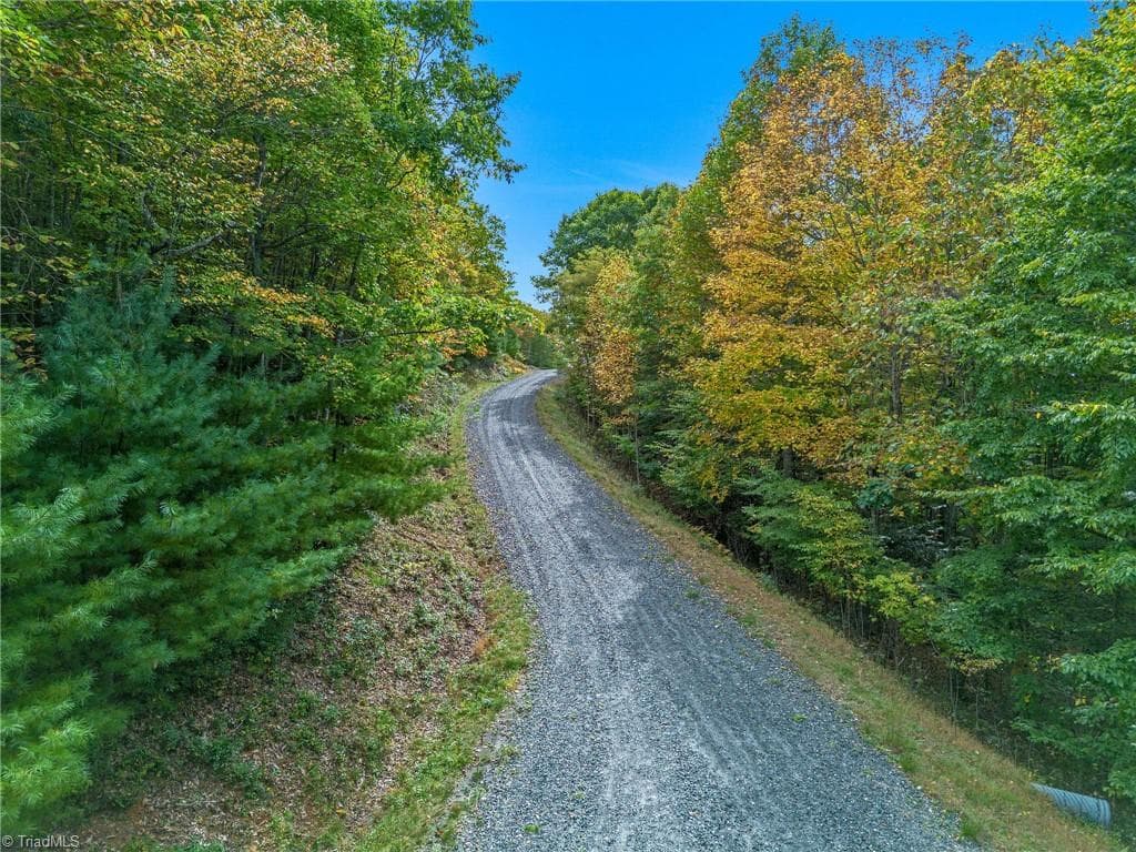 Unimproved Land at Lot 1 Red Sleigh Way, Fleetwood NC 28626, Fleetwood, photo 11 of 14