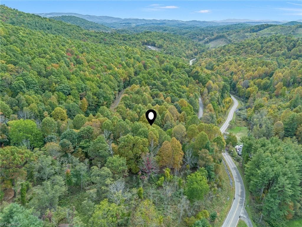 Unimproved Land at Lot 1 Red Sleigh Way, Fleetwood NC 28626, Fleetwood, photo 4 of 14
