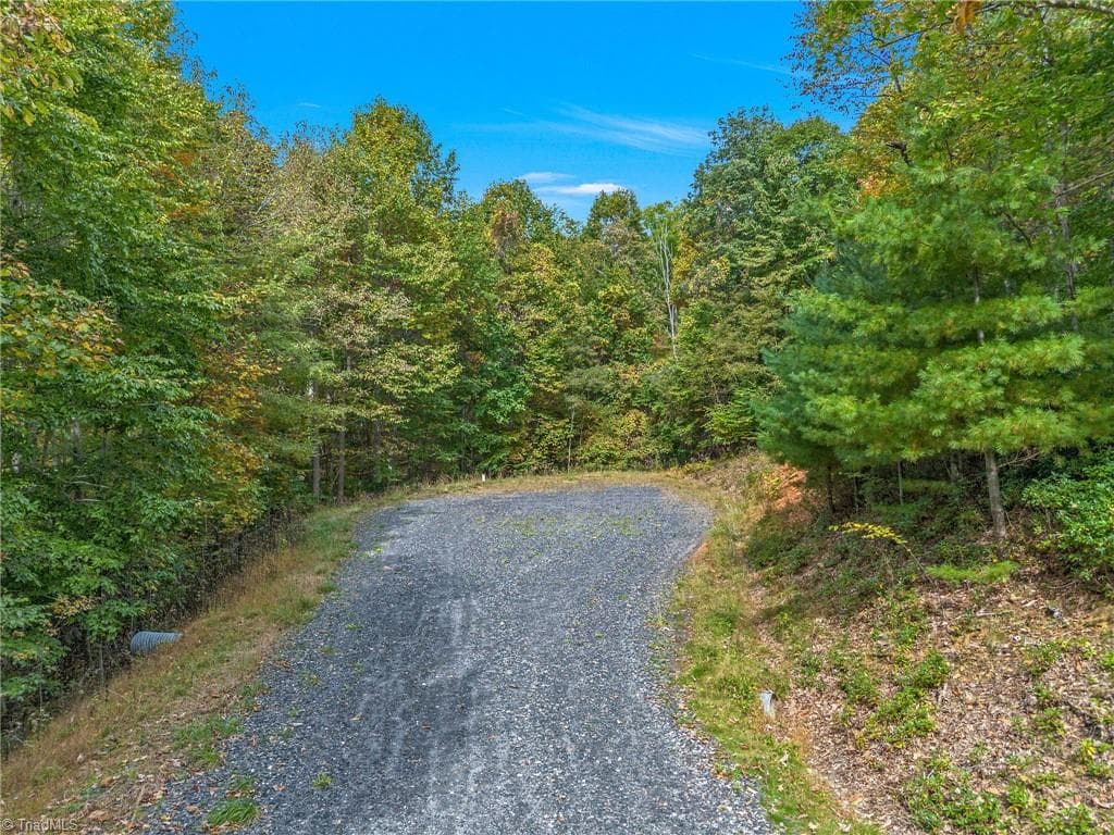 Unimproved Land at Lot 1 Red Sleigh Way, Fleetwood NC 28626, Fleetwood, photo 8 of 14