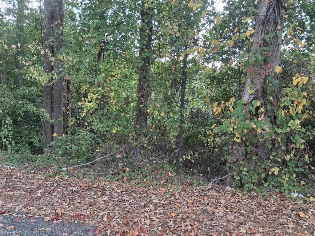 200 Grogan Street, Eden NC 27288
