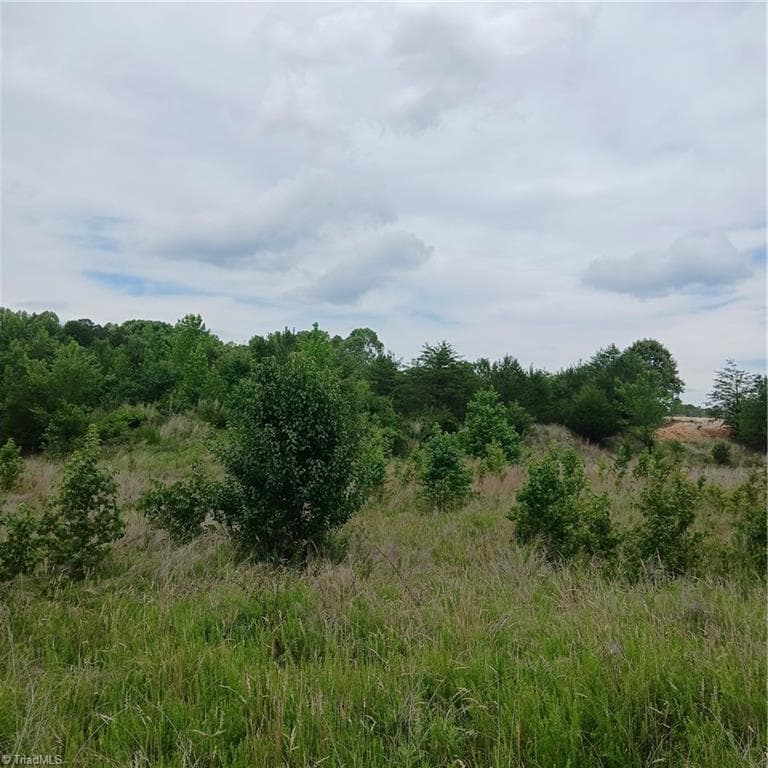 1133 Springfield Road, High Point NC 27263