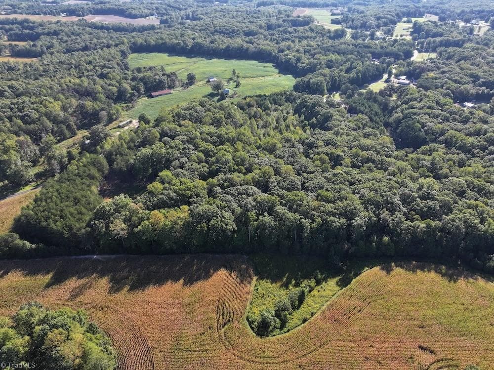Unimproved Land at 0 Liberty Church Road, Yadkinville NC 27055, Yadkinville, photo 6 of 15