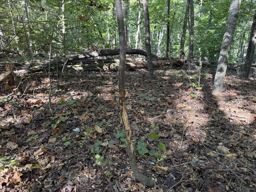 Unimproved Land at 0 Liberty Church Road, Yadkinville NC 27055, Yadkinville, photo 12 of 15
