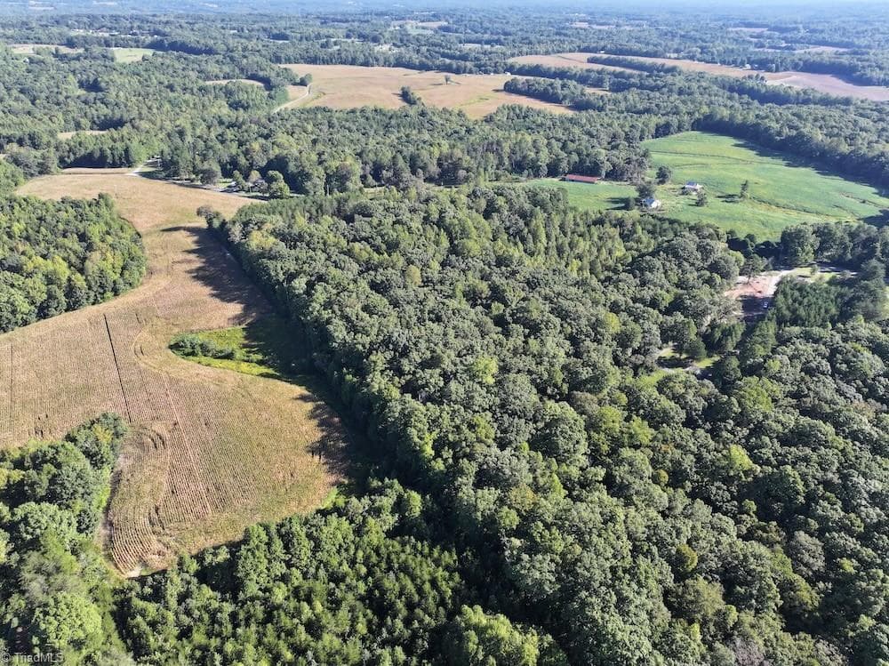 Unimproved Land at 0 Liberty Church Road, Yadkinville NC 27055, Yadkinville, photo 5 of 15