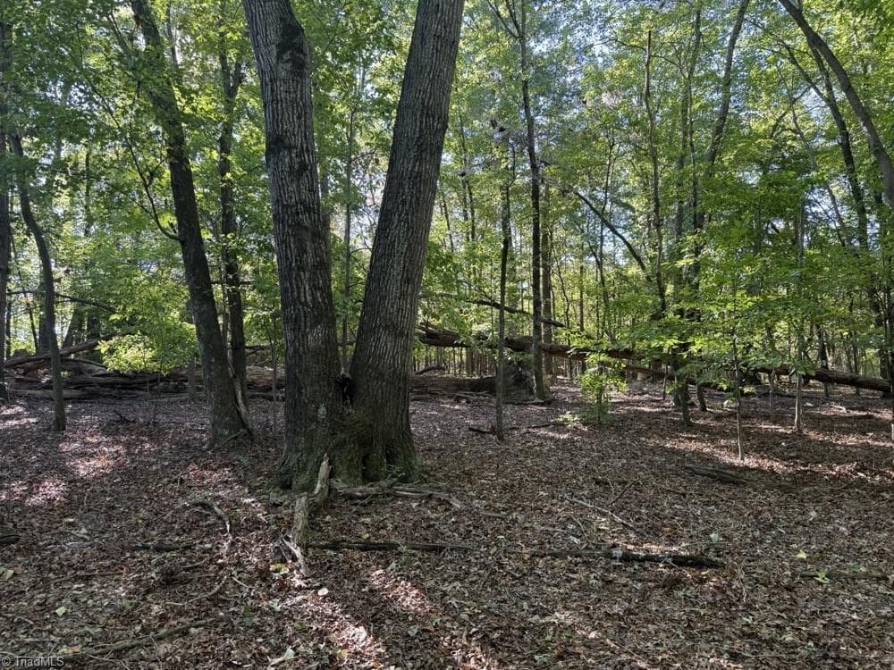 Unimproved Land at 0 Liberty Church Road, Yadkinville NC 27055, Yadkinville, photo 9 of 15