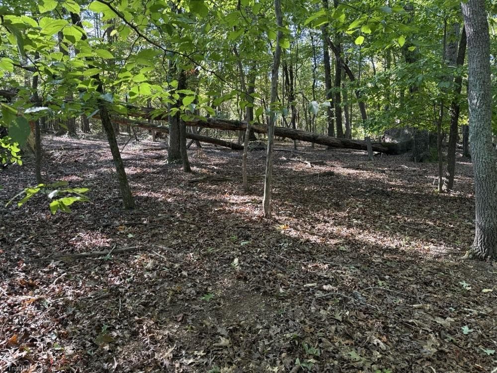 Unimproved Land at 0 Liberty Church Road, Yadkinville NC 27055, Yadkinville, photo 10 of 15