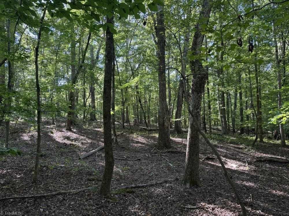 Unimproved Land at 0 Liberty Church Road, Yadkinville NC 27055, Yadkinville, photo 14 of 15