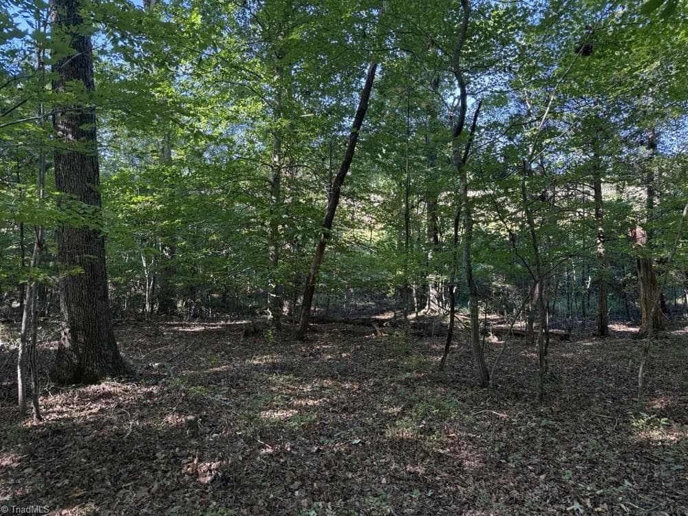 Unimproved Land at 0 Liberty Church Road, Yadkinville NC 27055, Yadkinville, photo 15 of 15