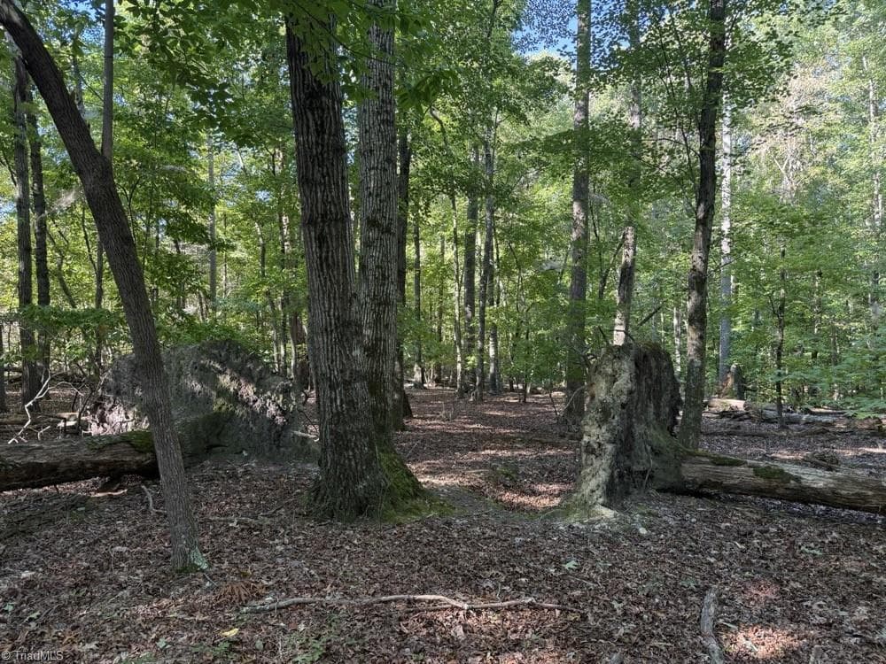 Unimproved Land at 0 Liberty Church Road, Yadkinville NC 27055, Yadkinville, photo 11 of 15