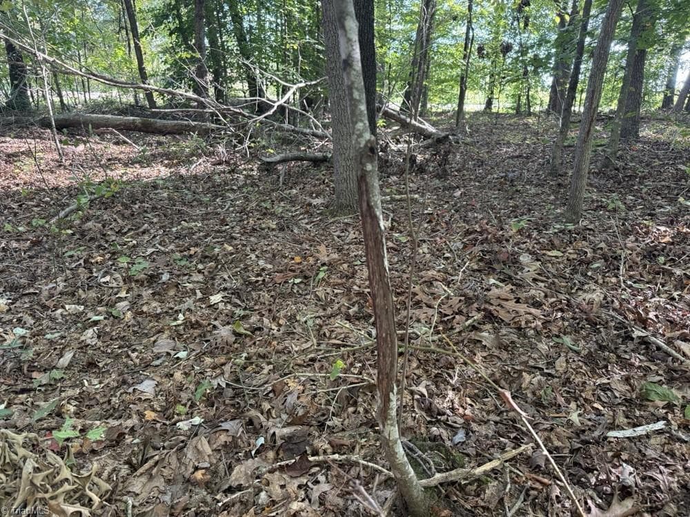 Unimproved Land at 0 Liberty Church Road, Yadkinville NC 27055, Yadkinville, photo 8 of 15