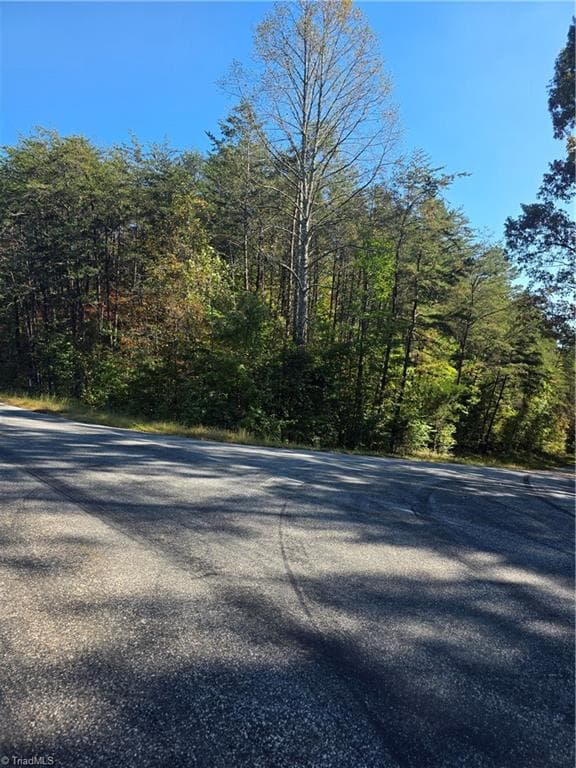 Unimproved Land at 00 Power Dam Road, Walnut Cove NC 27052, photo 3 of 9
