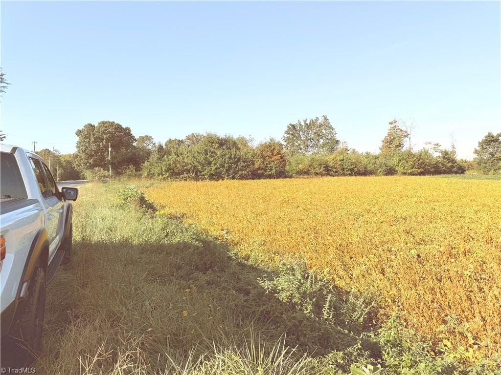Agriculture at Lot 2 Eldora Road, Ararat NC 27007, Ararat, photo 7 of 10