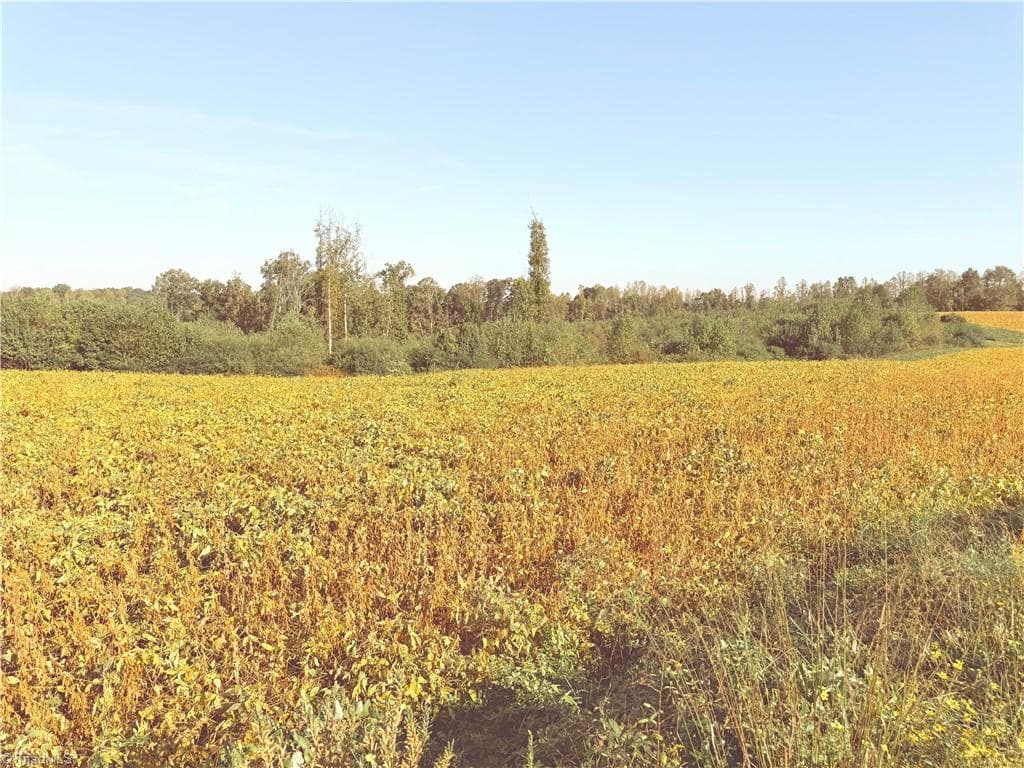 Agriculture at Lot 2 Eldora Road, Ararat NC 27007, Ararat, photo 10 of 10