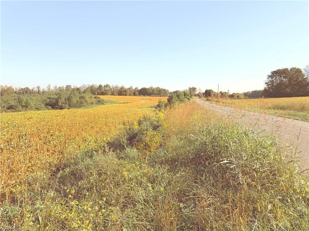 Agriculture at Lot 2 Eldora Road, Ararat NC 27007, Ararat, photo 8 of 10